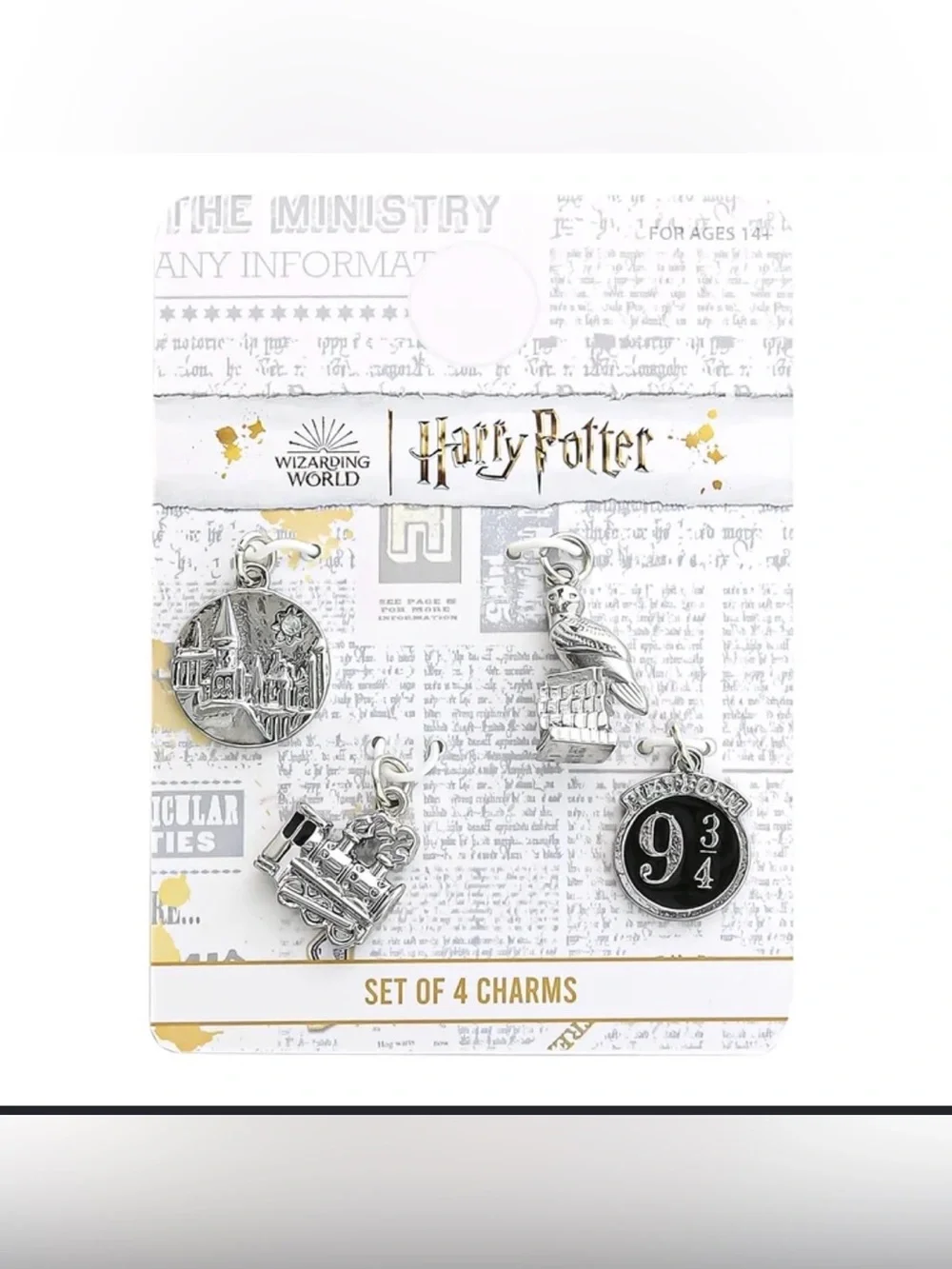 Warner Bros. Harry Potter Silver & Black 4-Charm Set
